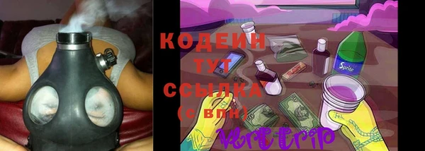сатива Кодинск
