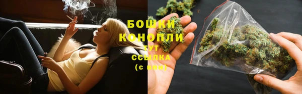 дживик Козельск