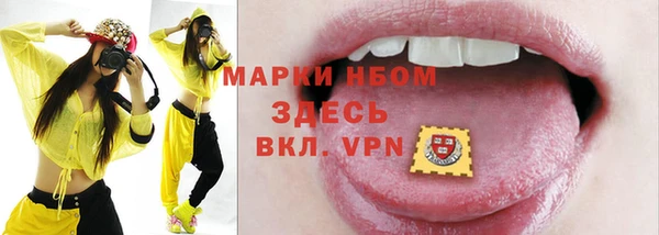 дживик Козельск