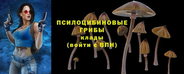 сатива Кодинск