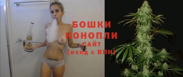 сатива Кодинск