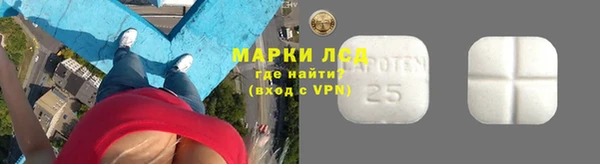 дживик Козельск