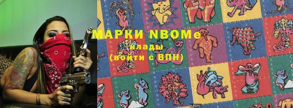 дживик Козельск