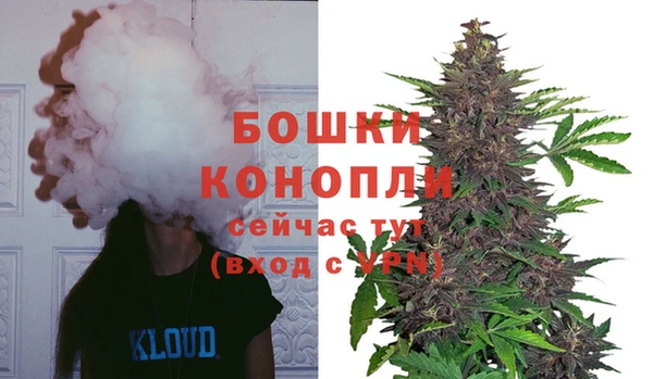 дживик Козельск