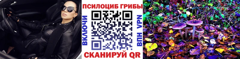 Купить где  Руза  Галлюциногенные грибы мицелий 